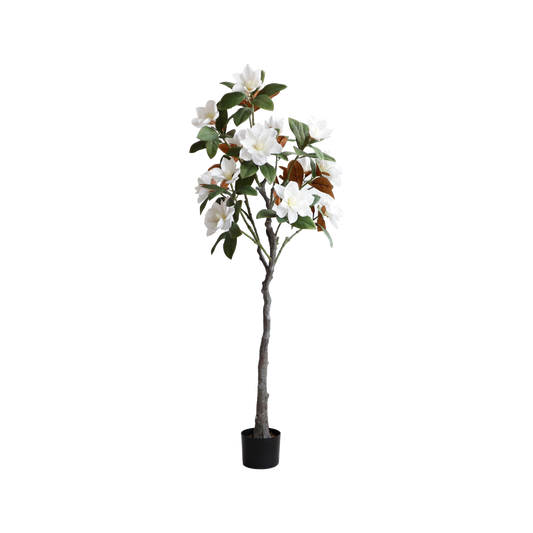 KD1421-Magnolia Tree-H150cm