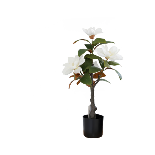 KD1423-Magnolia Tree-H80cm