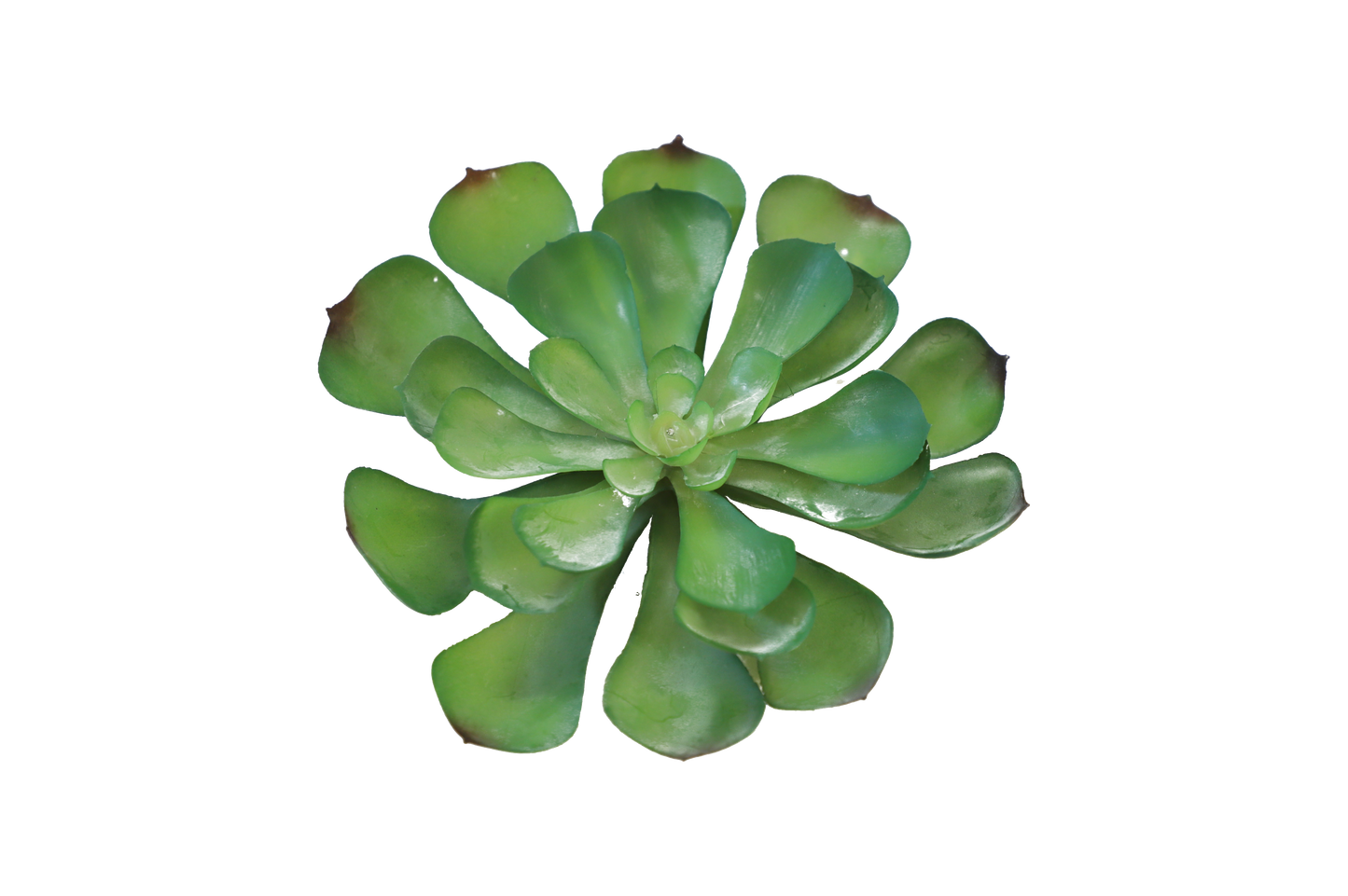 KD1636-Artificial Succulent -H15cm-5.91inch