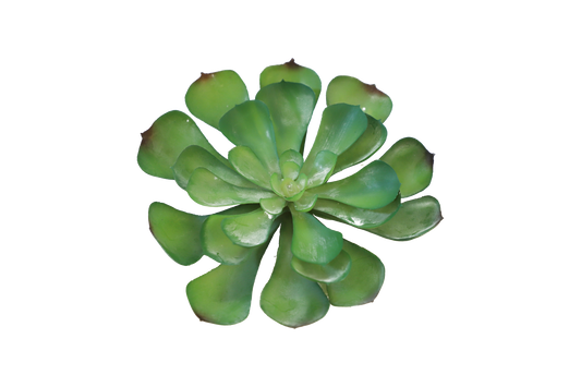 KD1636-Artificial Succulent -H15cm-5.91inch