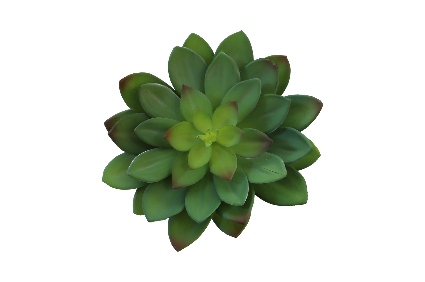 KD1637-Artificial Succulent -H24cm-9.45inch