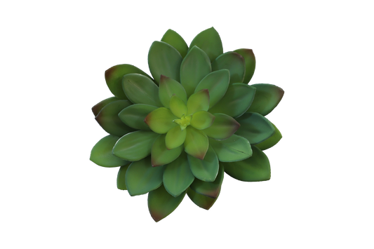 KD1637-Artificial Succulent -H24cm-9.45inch