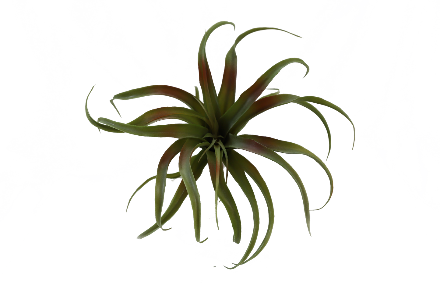 KD1639-Artificial Succulent -H24cm-9.45inch