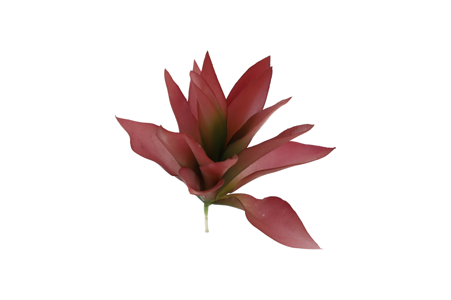 KD1644-Artificial Succulent -H23cm-9.06inch