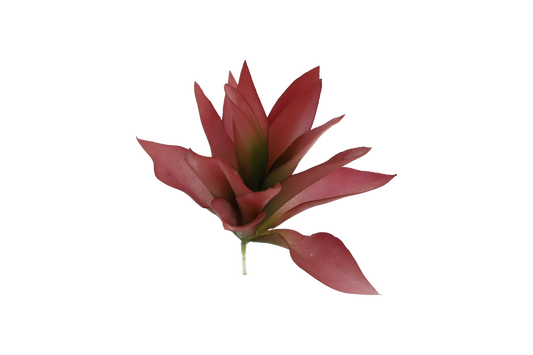 KD1644-Artificial Succulent -H23cm-9.06inch