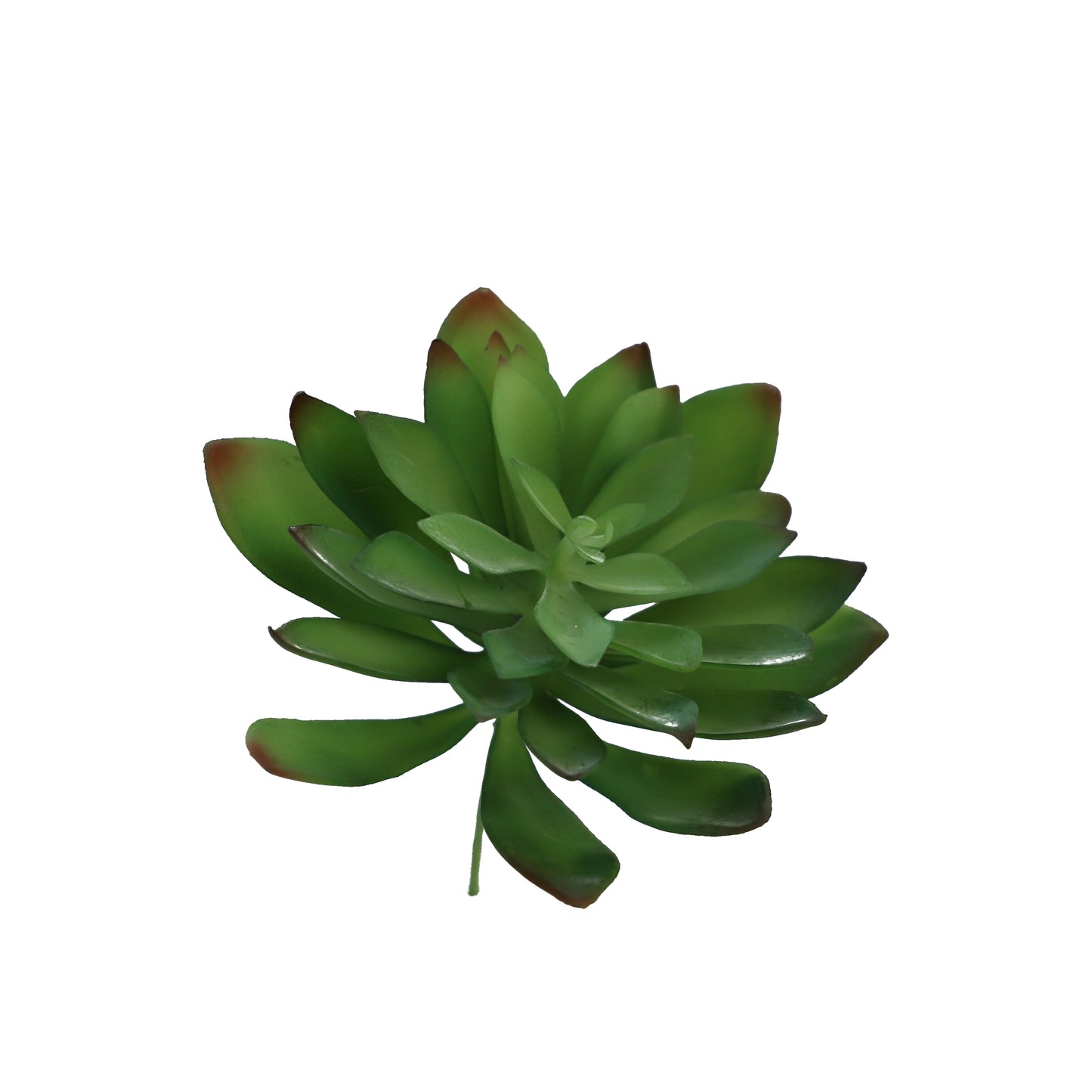 KD1648-Artificial Succulent -H20cm-7.87inch