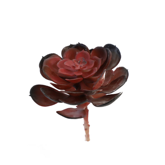 KD1659-Artificial Succulent -H16cm-6.3inch