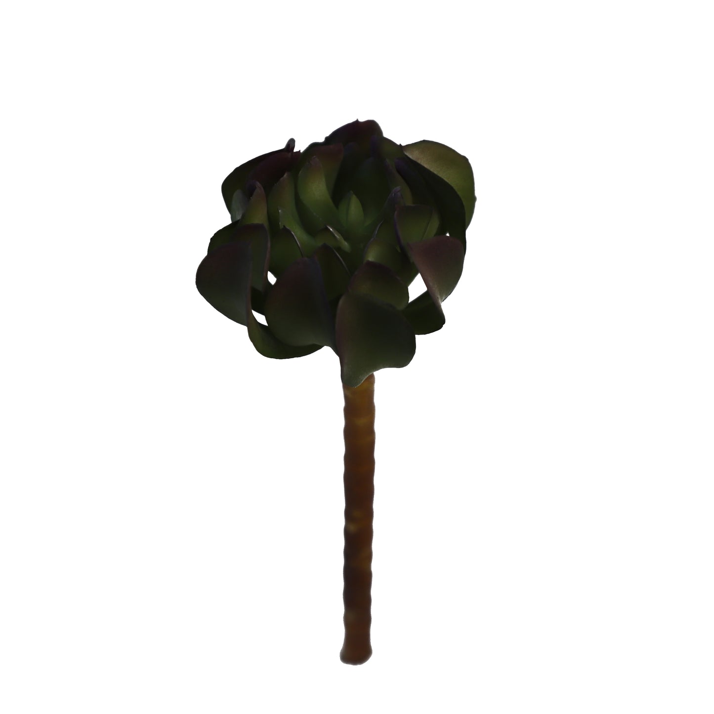 KD1662-Artificial Succulent -H24cm-9.45inch
