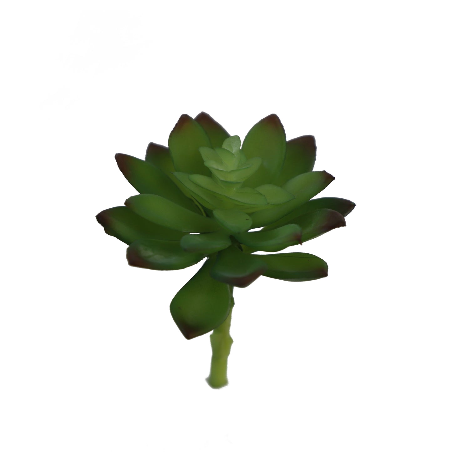 KD1664-Artificial Succulent -H19cm-7.48inch