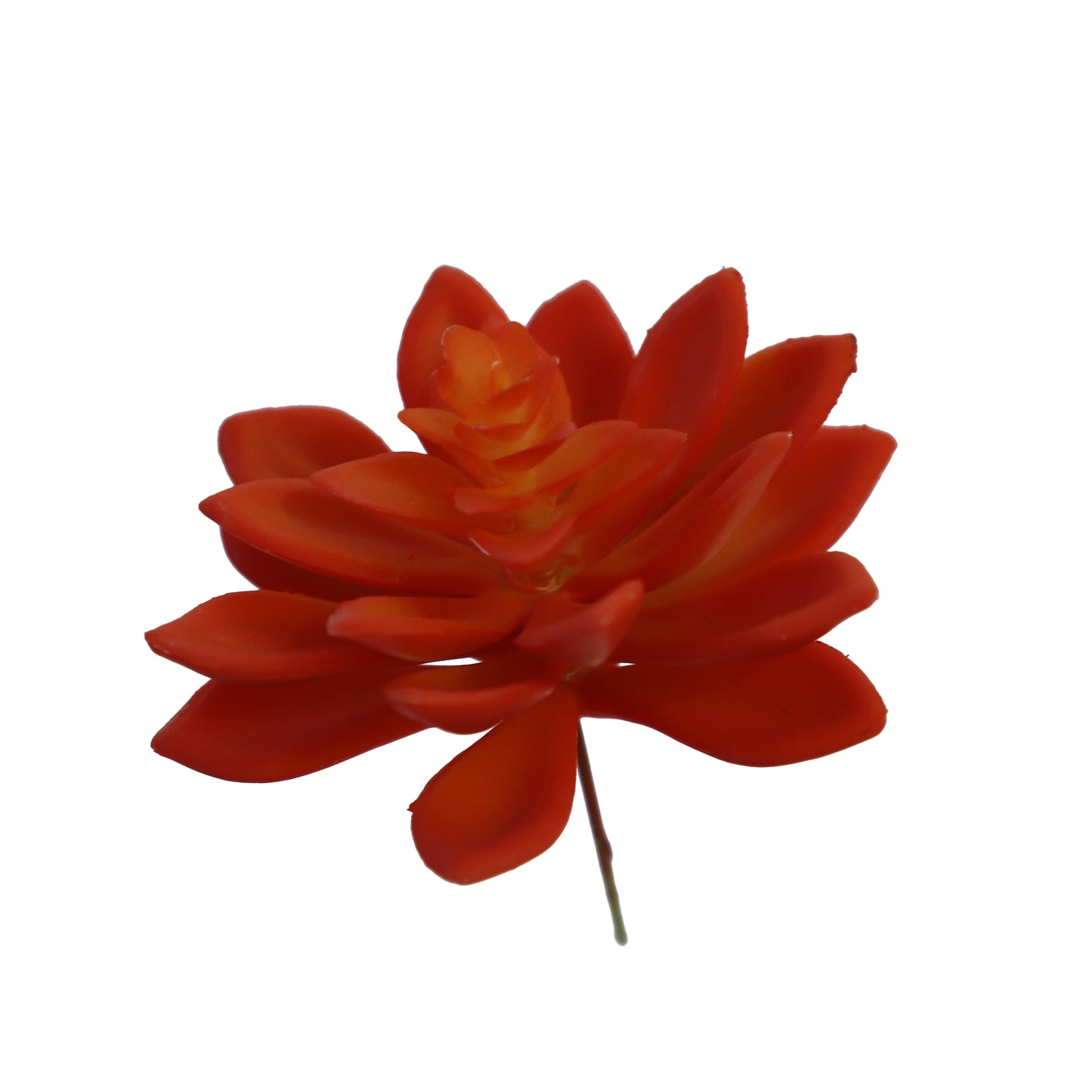 KD1674-Artificial Succulent  -H12cm-4.72inch
