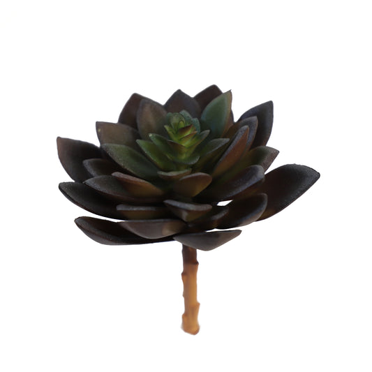 KD1675-Artificial Succulent   -H16cm-6.3inch
