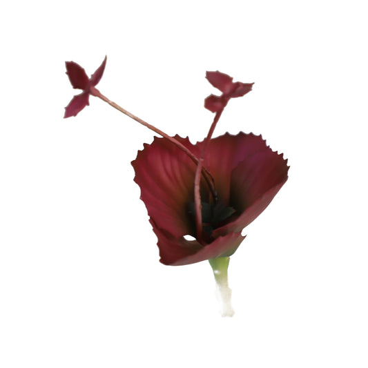 KD1677-Artificial Succulent -H19cm-7.48inch