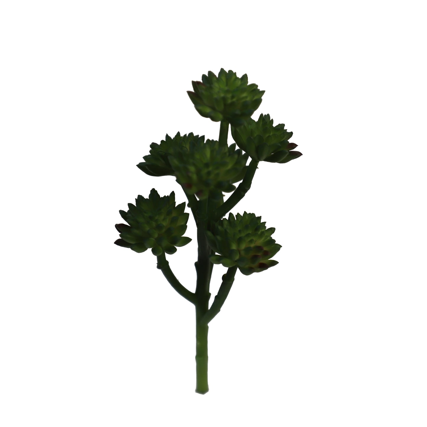 KD1678-Artificial Succulent -H19cm-7.48inch