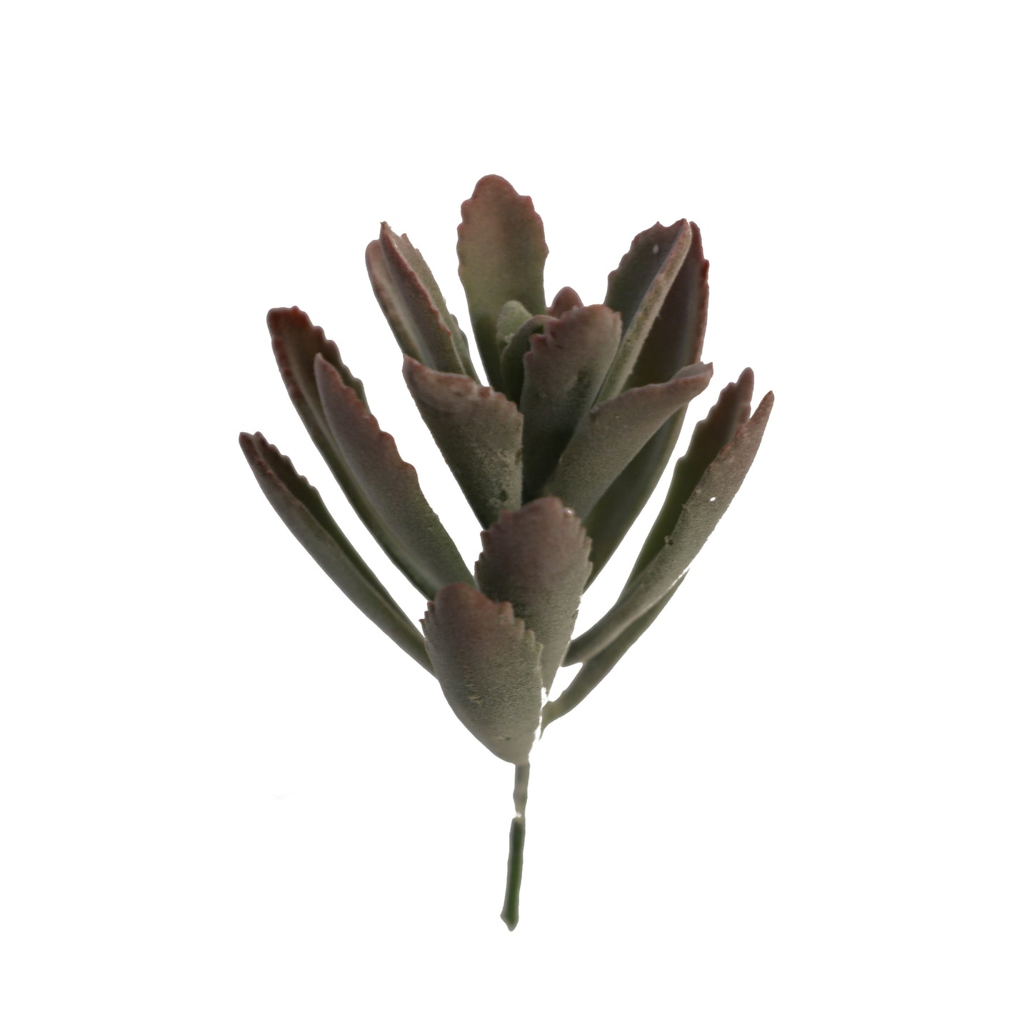 KD1688-Artificial Succulent -H18cm-7.09inch