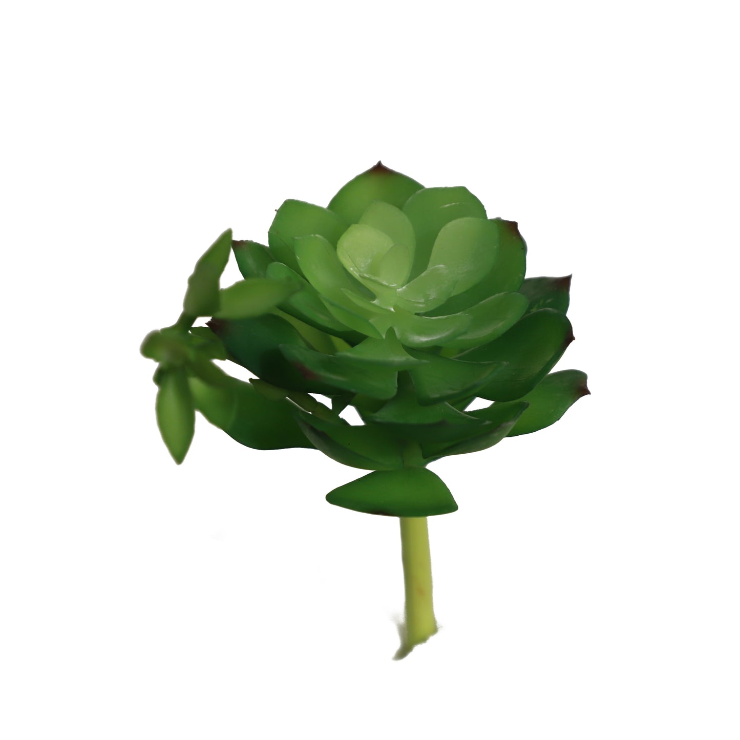 KD1689-Artificial Succulent -H16cm-6.3inch