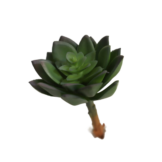 KD1691-Artificial Succulent  -H15cm-5.91inch