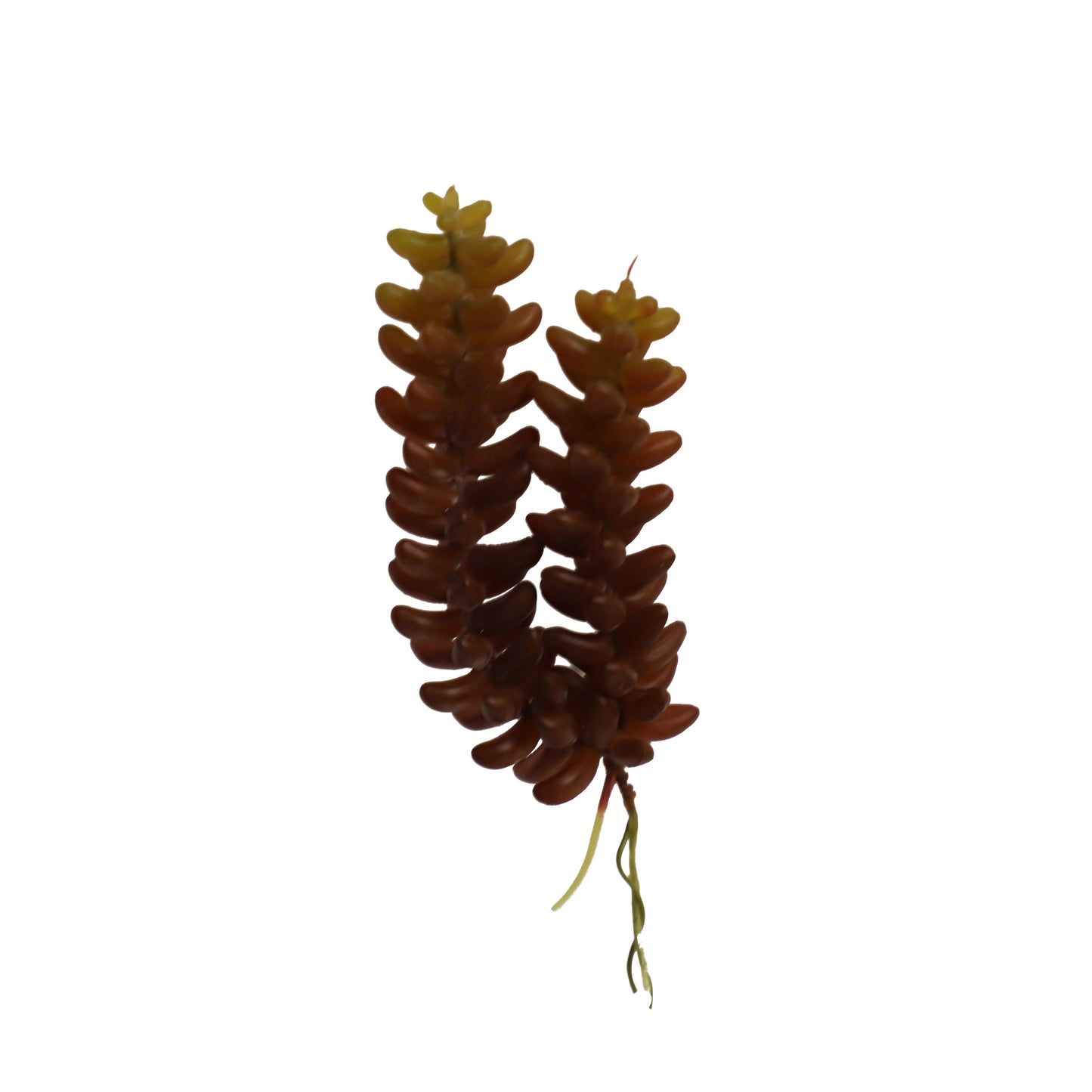 KD1693-Artificial Succulent  -H17cm-6.69inch