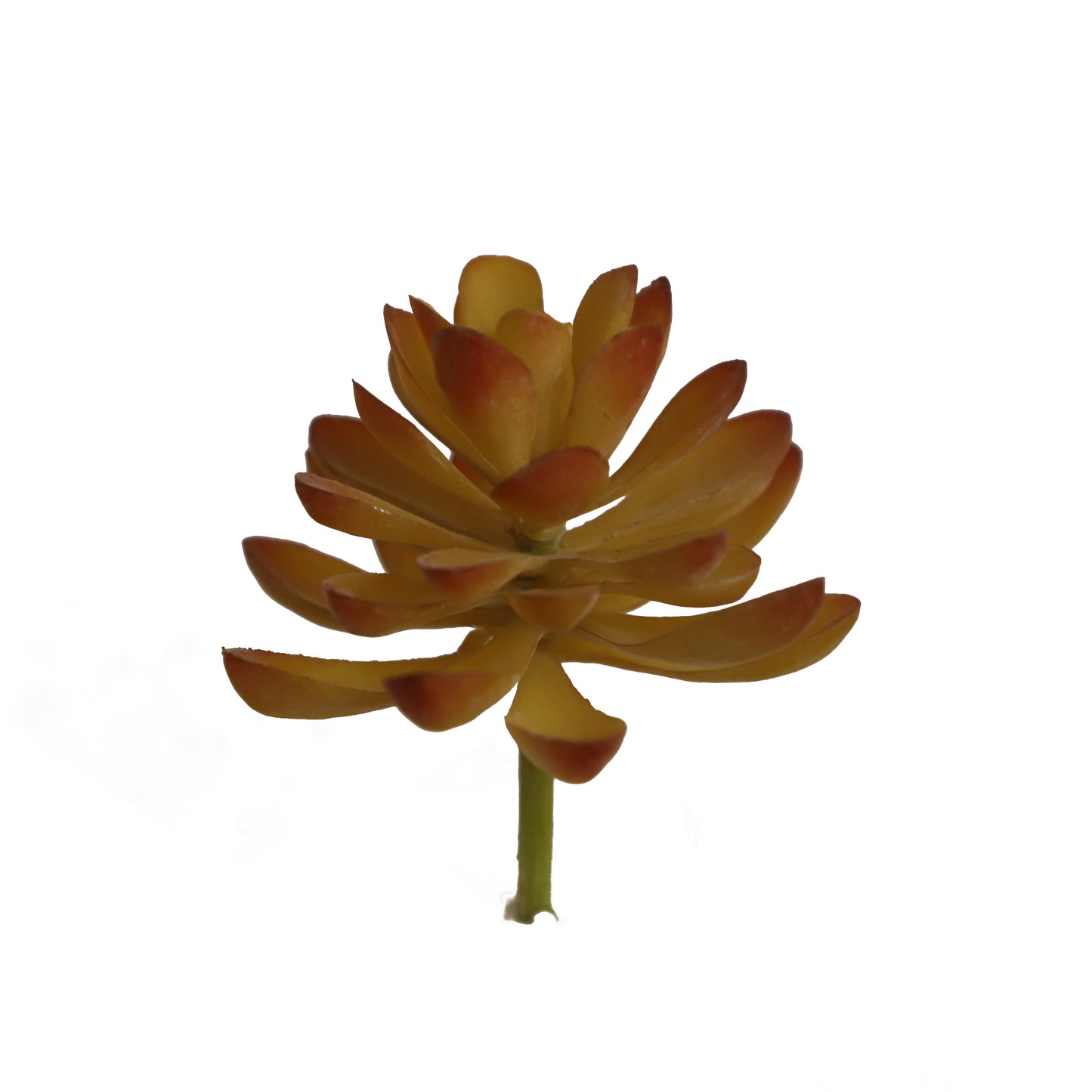 KD1695-Artificial Succulent -H10cm-3.94inch