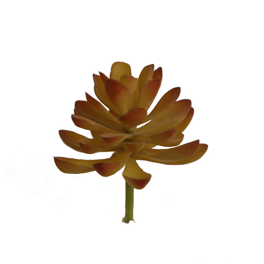 KD1695-Artificial Succulent -H10cm-3.94inch