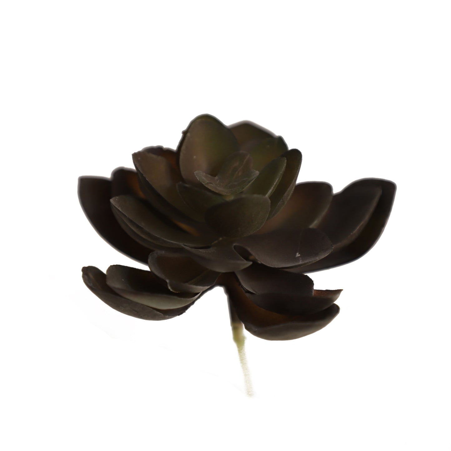 KD1696-Artificial Succulent -H10cm-3.94inch