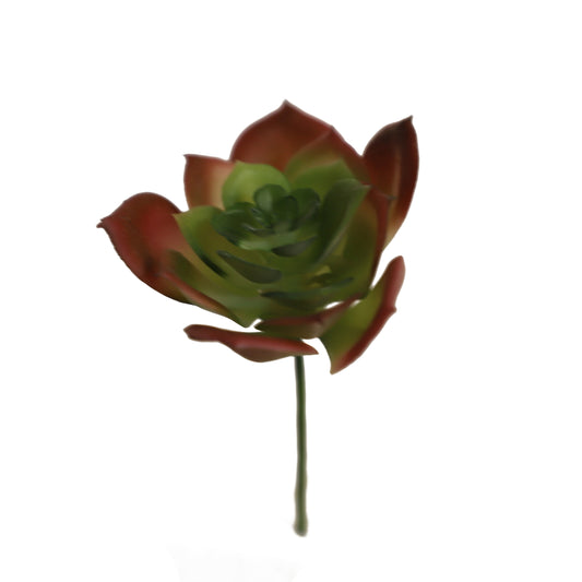 KD1697-Artificial Succulent -H12cm-4.72inch