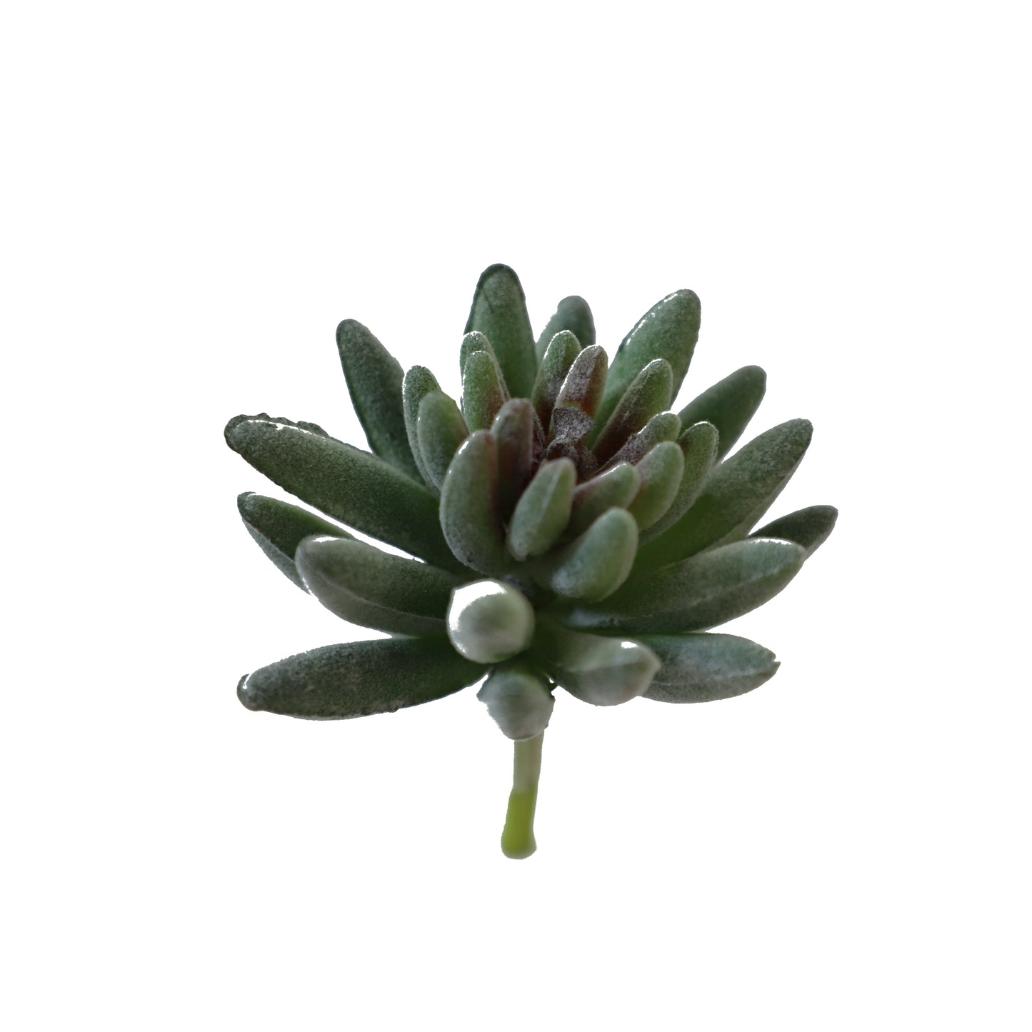 KD1700-Artificial Succulent-H11cm-4.33inch