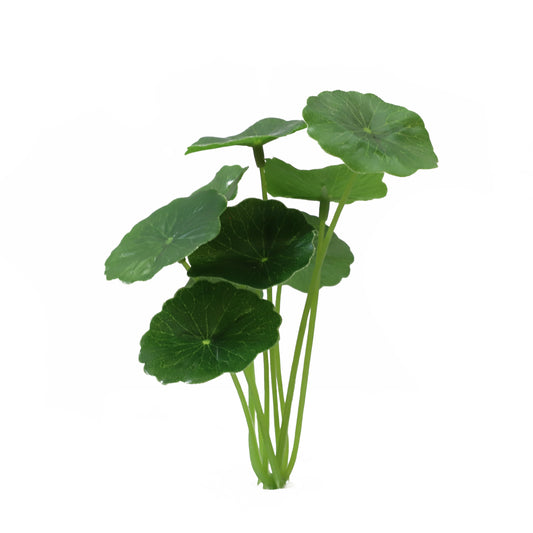 KD1707-Artificial Succulent -H14cm-5.51inch