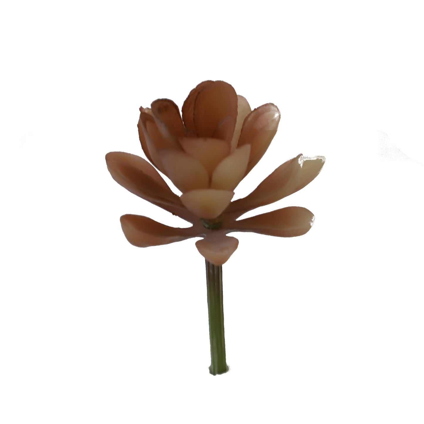 KD1712-Artificial Succulent -H11cm-4.33inch