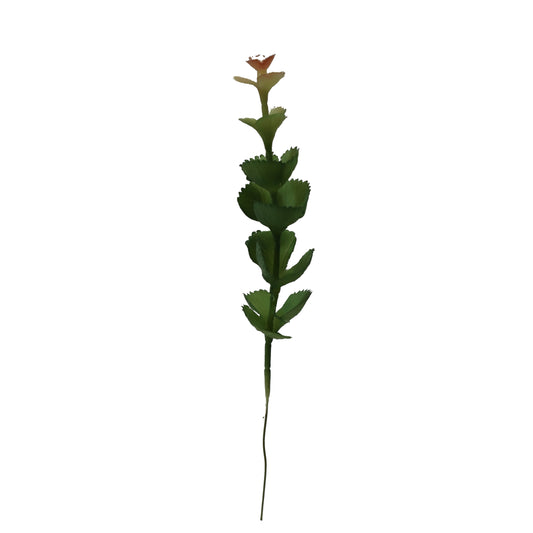 KD1715-Artificial Succulent -H25cm-9.84inch