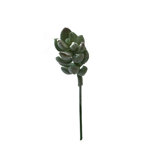 KD1717-Artificial Succulent -H13cm-5.12inch