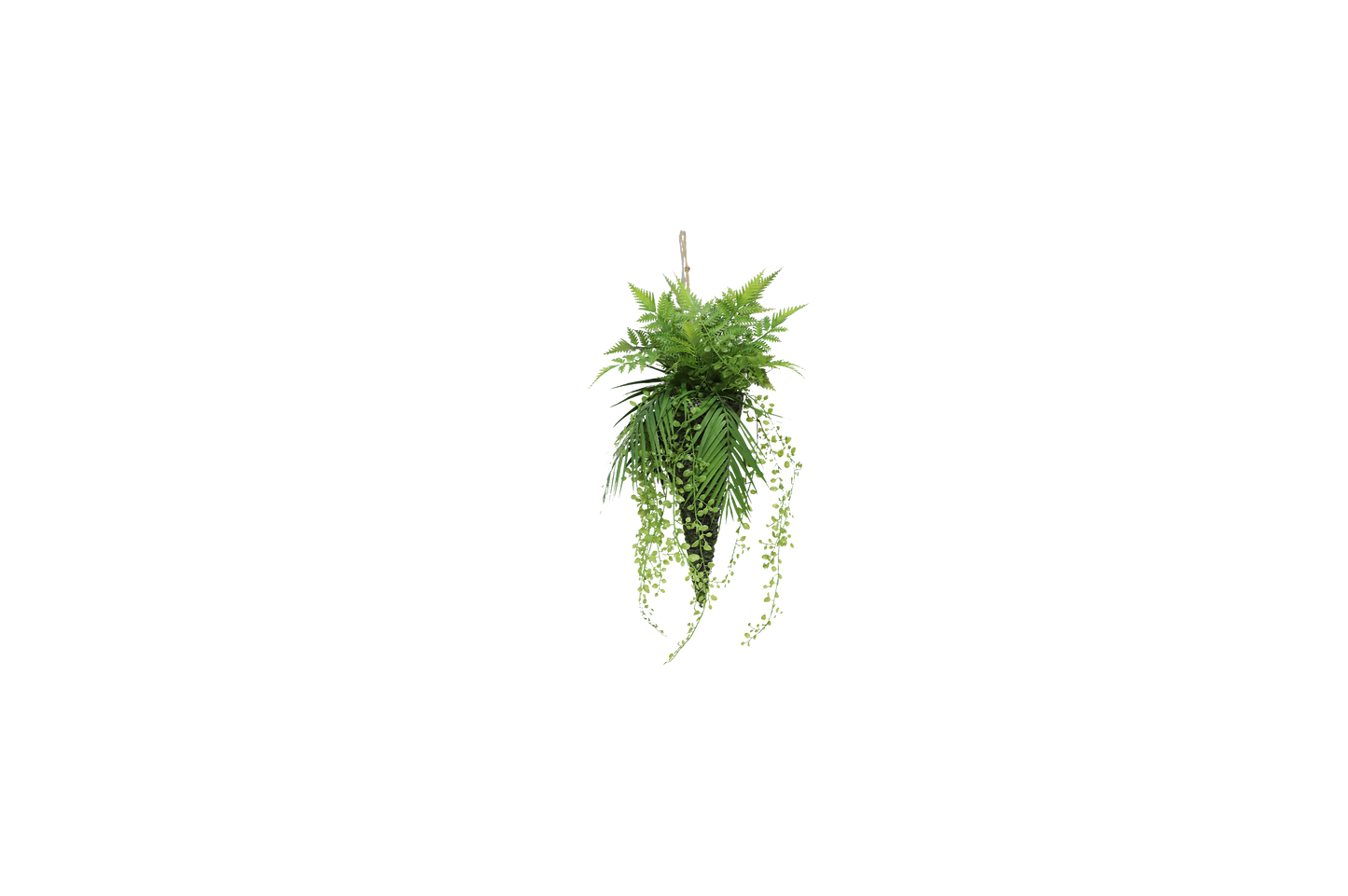 KD1721-Artificial Succulent -H50cm-19.69inch