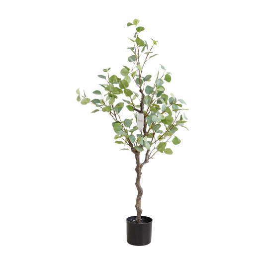 KD4800-Eucalyptus Tree-H120cm
