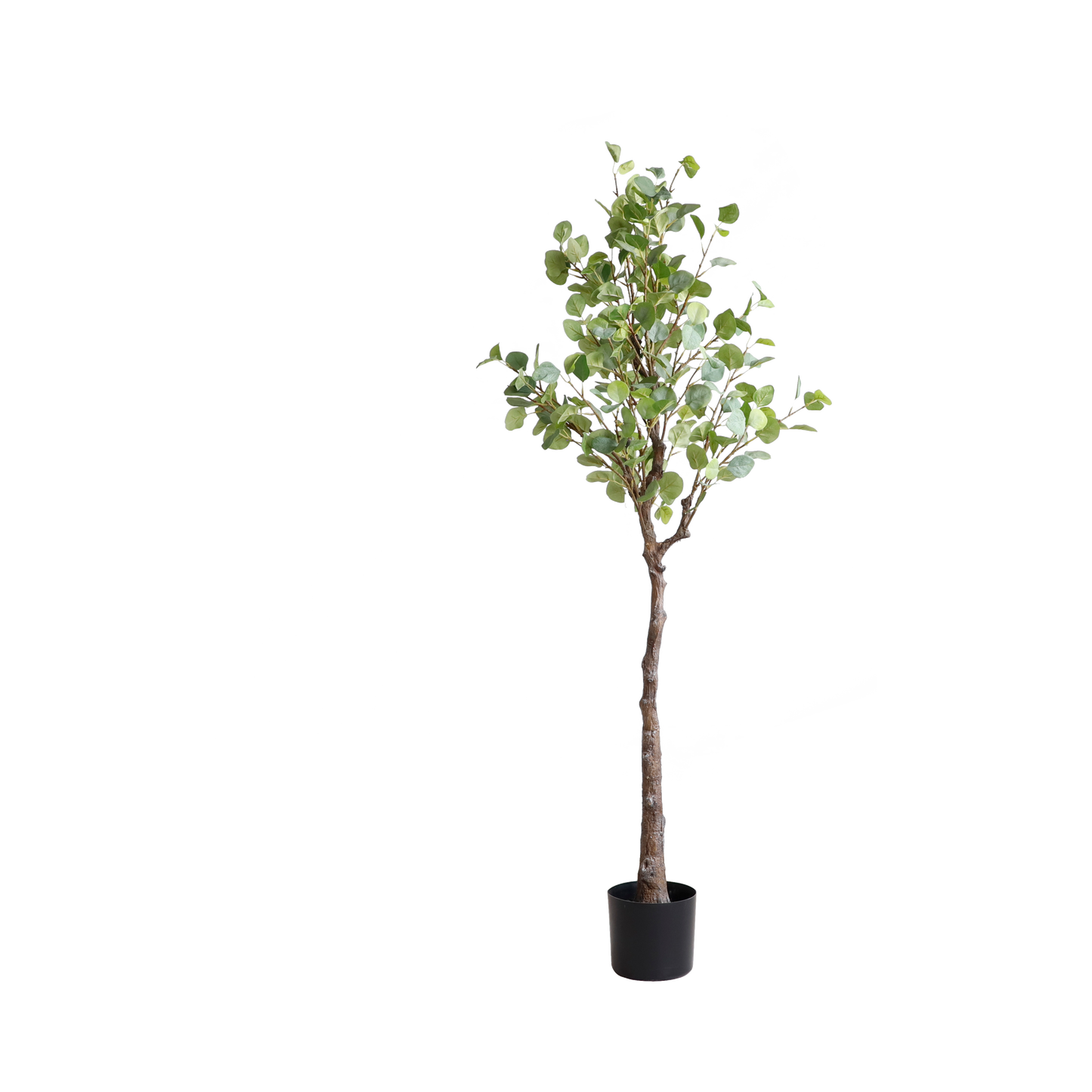 KD4800-Eucalyptus Tree-H160cm
