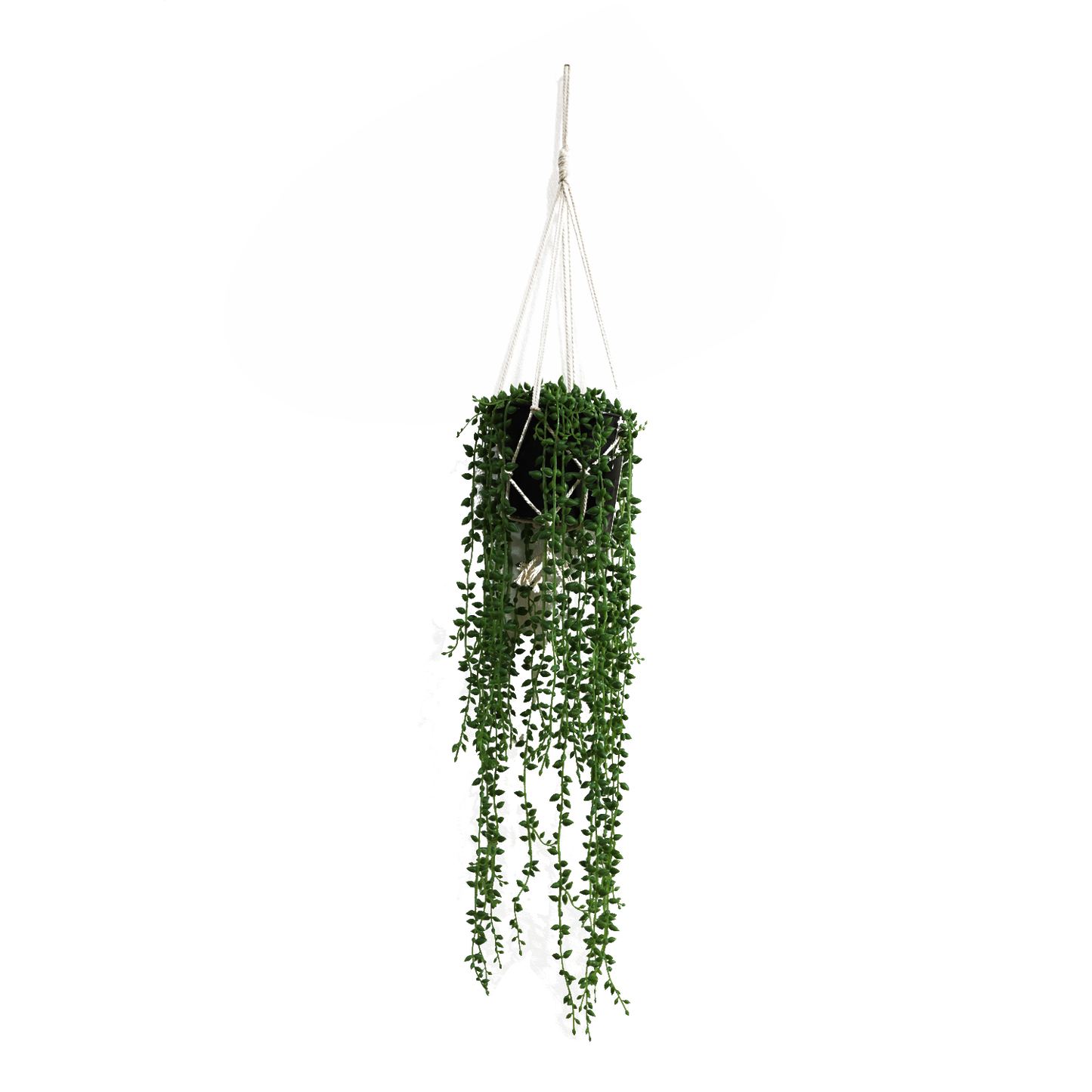 KD4812-Hanging Vine-H60cm