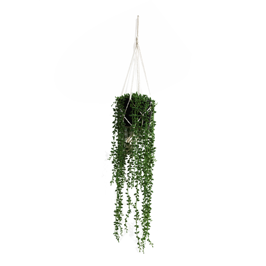KD4812-Hanging Vine-H60cm