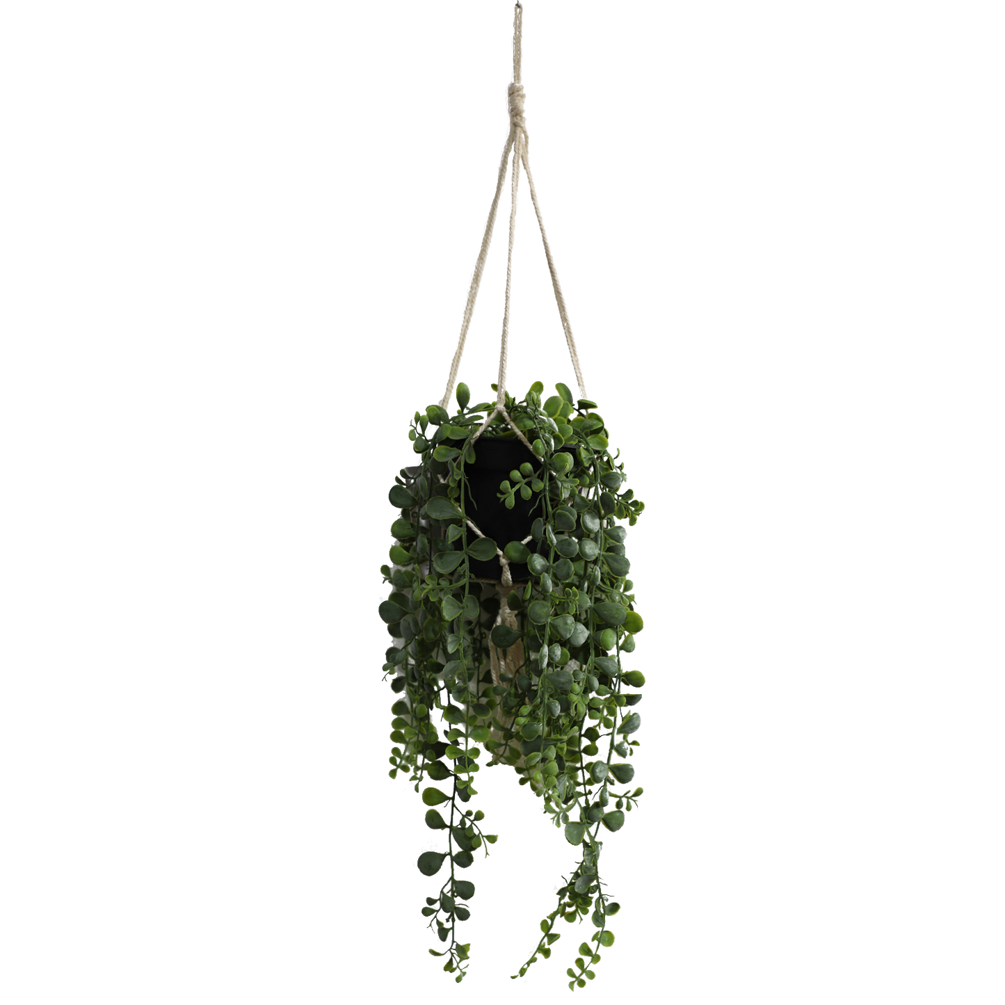 KD4814-Hanging Vine-H45cm