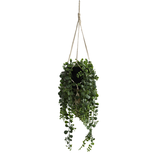 KD4814-Hanging Vine-H45cm