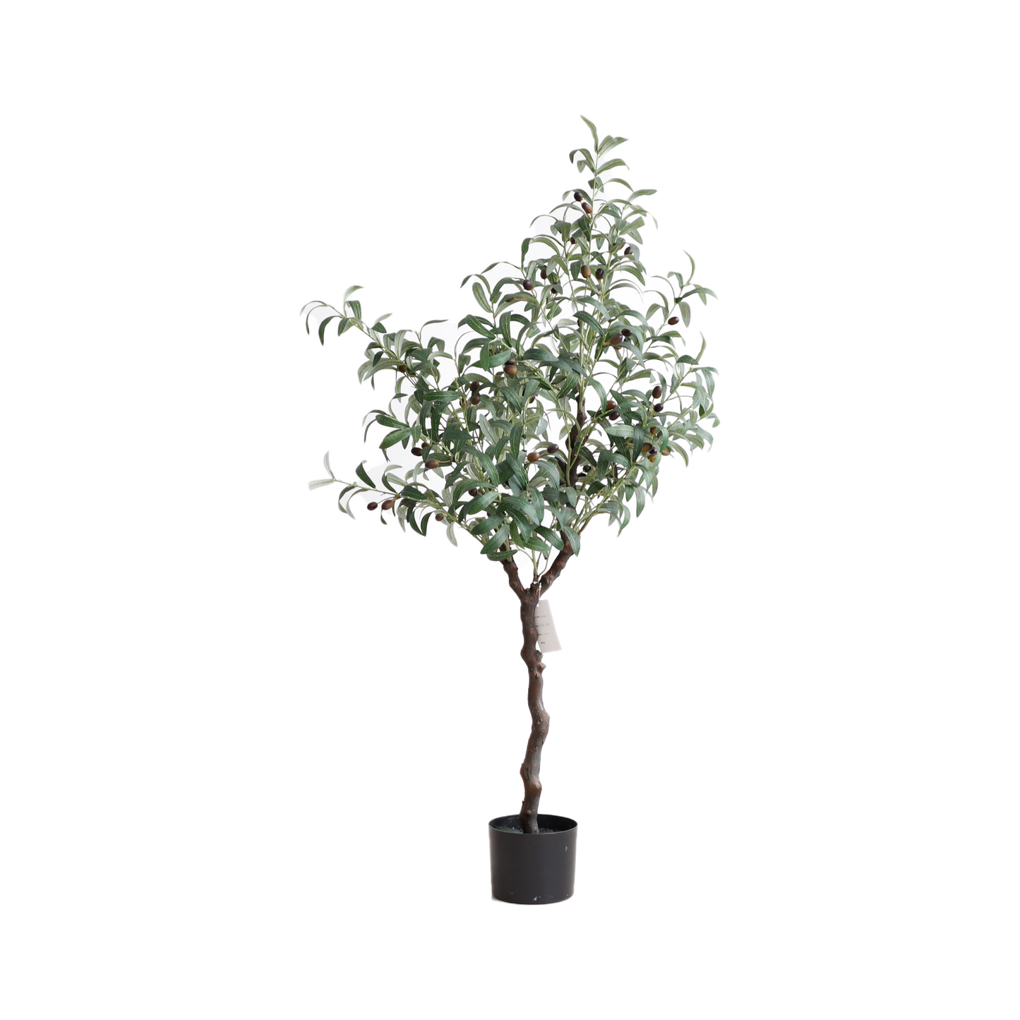 KD4818-Olive Tree-H120cm