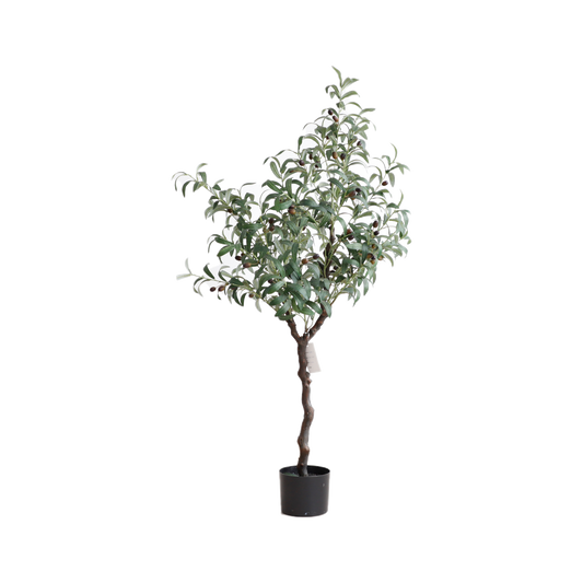KD4818-Olive Tree-H120cm