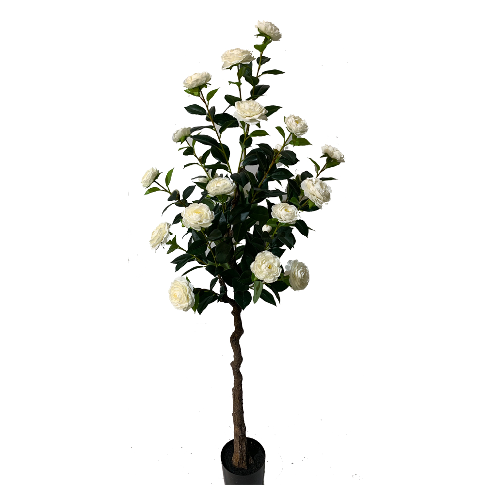KD4822-White Camellia-H160cm