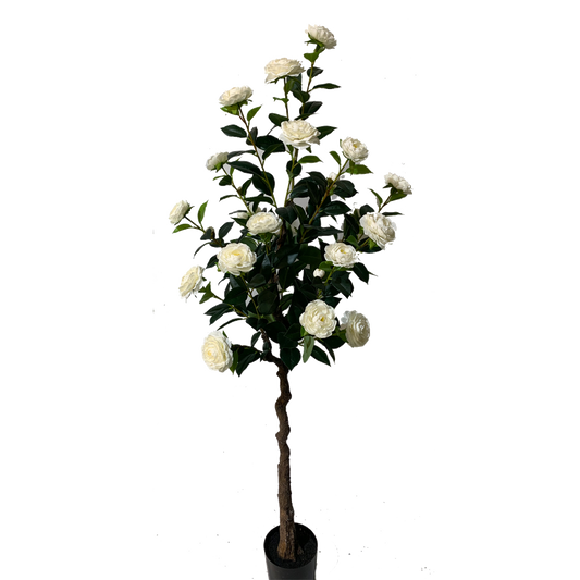 KD4822-White Camellia-H160cm