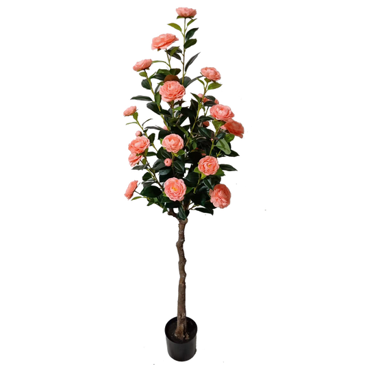 KD4823-Pink Camellia-H160cm