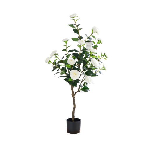 KD4824-White Camellia-H120cm