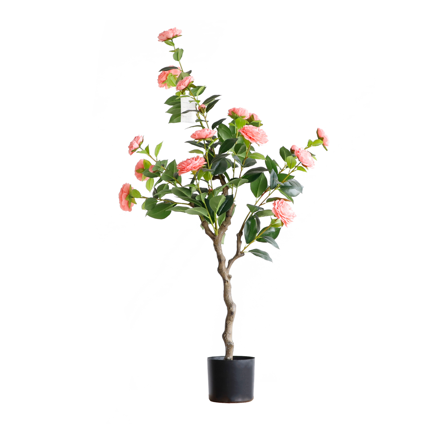 KD4825-Pink Camellia-H120cm