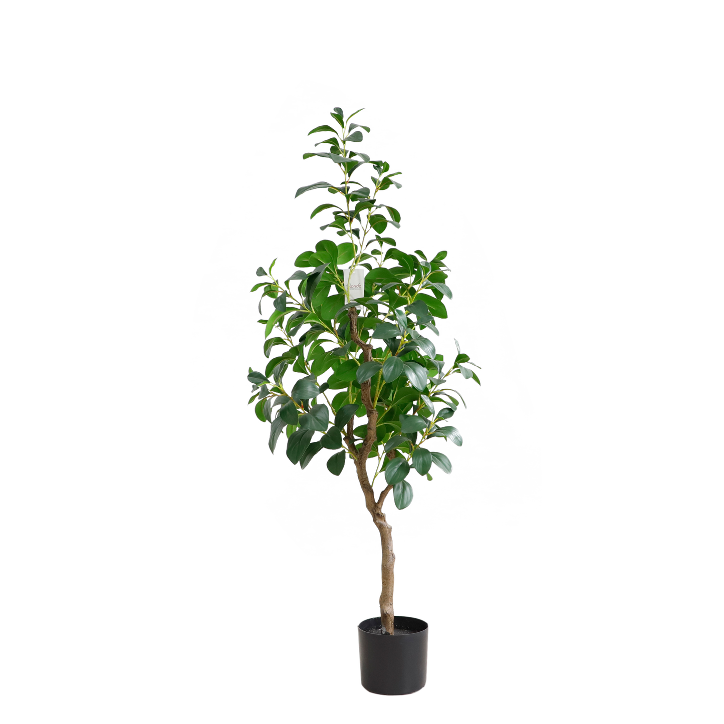 KD4829-Watercress-H120cm