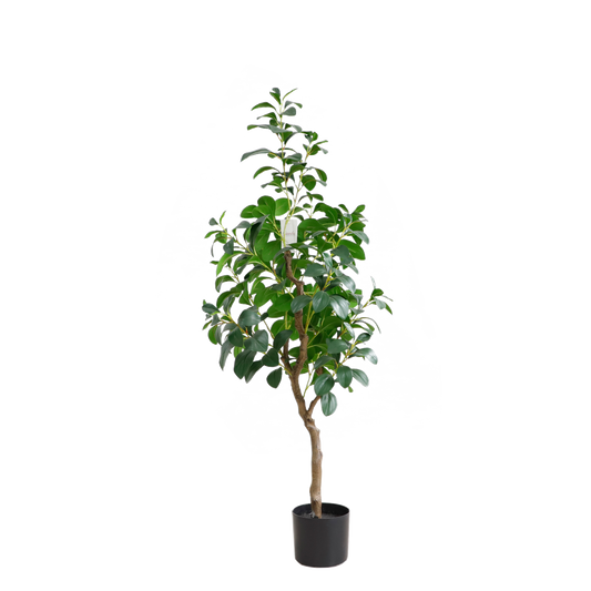 KD4829-Watercress-H120cm