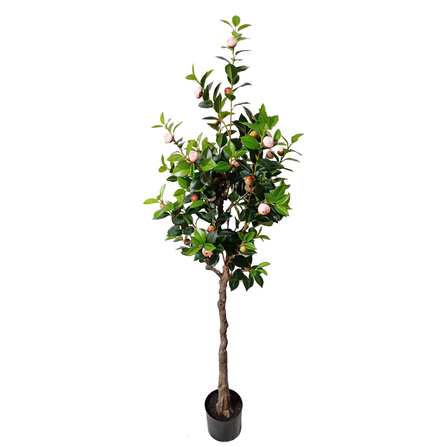 KD4831-Pink Camellia-H160cm