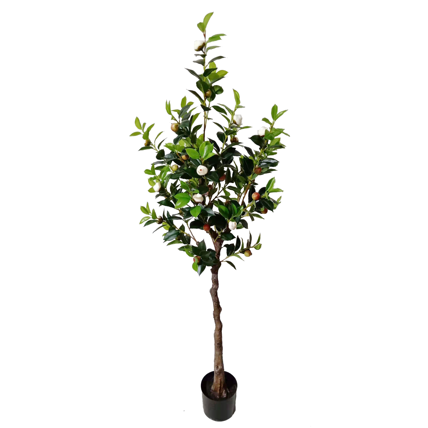 KD4832-White Camellia-H160cm