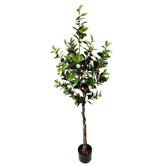 KD4832-White Camellia-H160cm