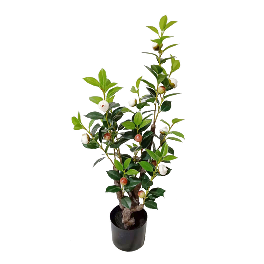 KD4836-White Camellia-H80cm